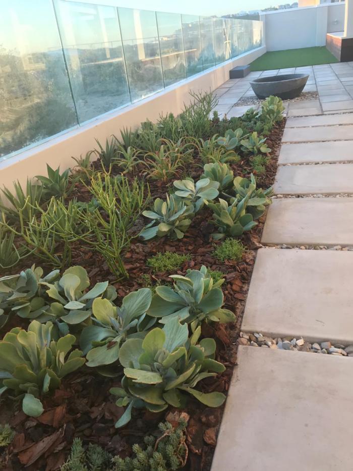 Yzerfontein Landscaping