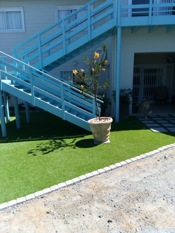 Yzerfontein Landscaping